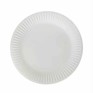 Bord Ø 23cm karton wit BIO